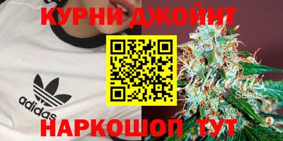 ПСИЛОЦИБИНОВЫЕ ГРИБЫ Кимры