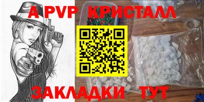 мяу мяу мука Кингисепп