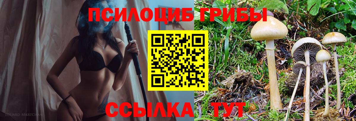 Галлюциногенные грибы мицелий Коммунар