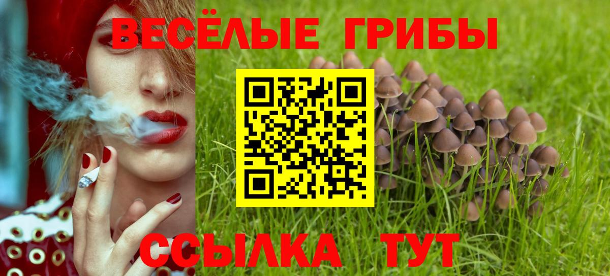 Коммунар  Псилоцибиновые грибы Magic Shrooms  магазин продажи наркотиков  Вход с VPN 